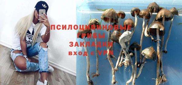 mdpv Алексин