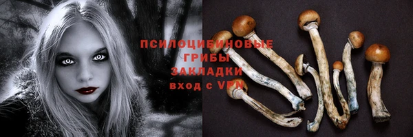 таблы Алексеевка